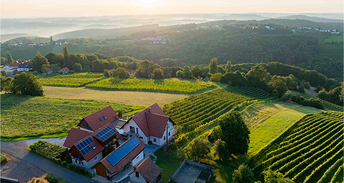 grüne, hügelige Landschaft mit einem Haus und Weingärten